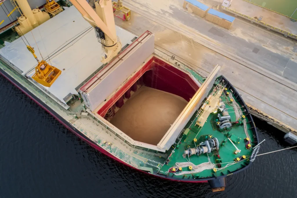 Bulk Carrier for efficient transport of unpacked dry cargo Bulk Carrier for efficient transport of unpacked dry cargo