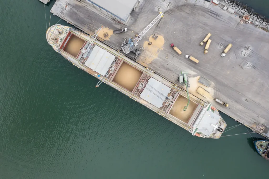 Bulk Carrier with flexible loading system and robust construction Bulk Carrier with flexible loading system and robust construction
